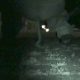 A woman is video-recorded taking a huge shit on the ground at night. Next, we get to see her glazed-over turd lying on the ground the following morning.